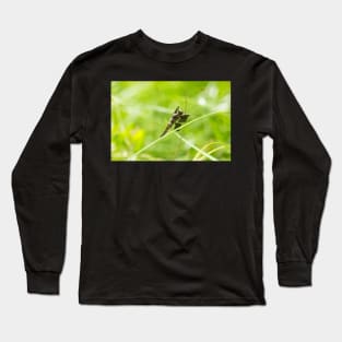 Enter The Dragon Long Sleeve T-Shirt